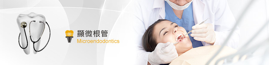 顯微根管 顯微根管