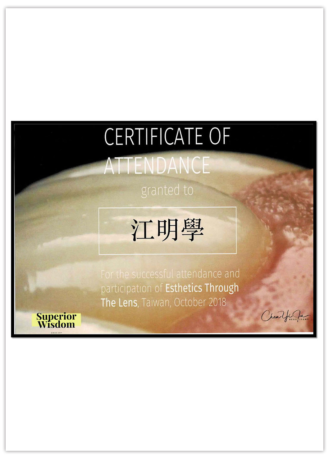 江明學 院長 Dr.Chiang DSD數位設計全瓷貼片證書